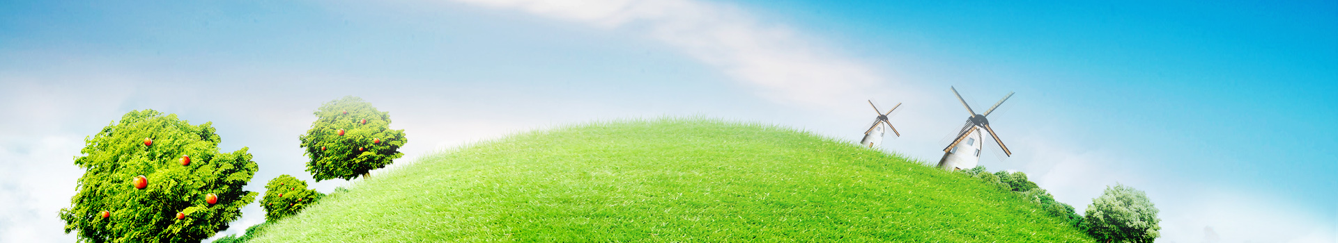 萊蕪雙力復合材料股份有限公司